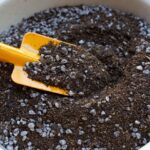 パーライトと土