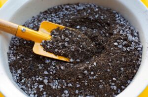 パーライトと土