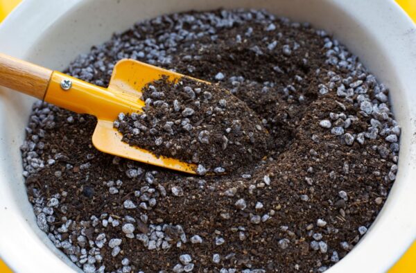 パーライトと土