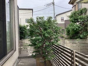 剪定・消毒の作業写真