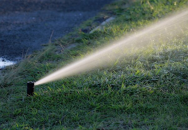 芝生の散水